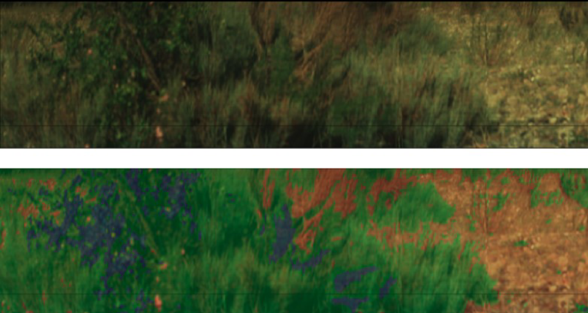 UAV mounted spectrometry camera solution for detecting illicit cannabis and  ephedra plantations | Discover Applied Sciences | Springer Nature Link