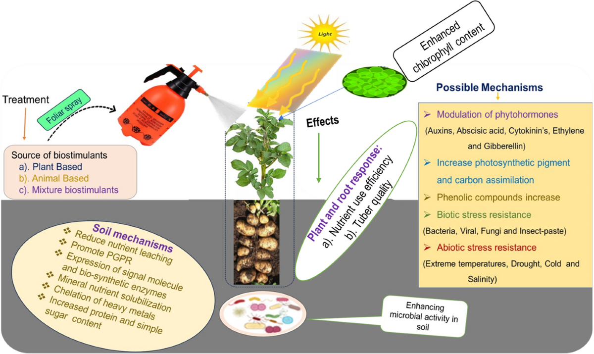 Foliar spray of biostimulants