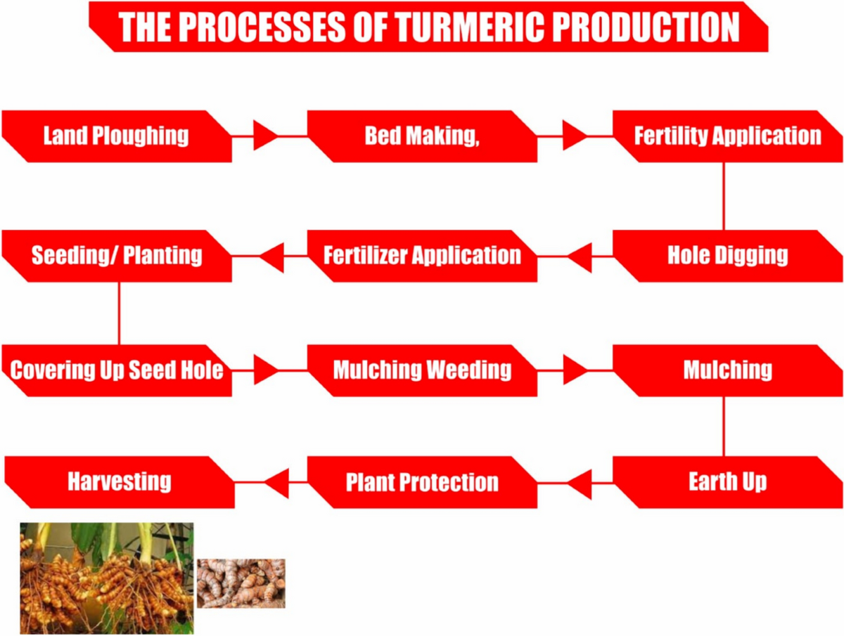 Manufacturing Process Flowchart - Ethyl Acetate, NF (Catalog No. ET105), image size:1200x905