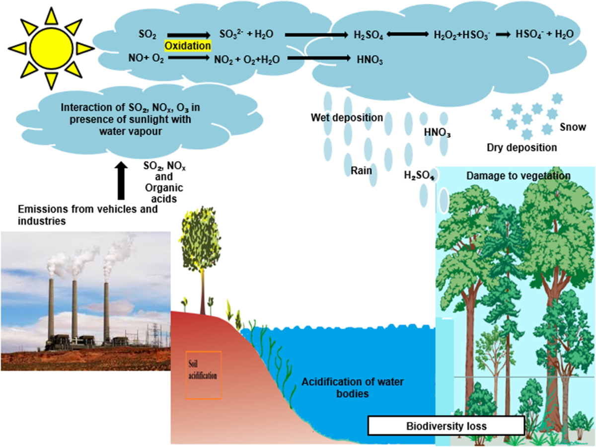 Global Trends of Acidity in Rainfall and Its Impact on Plants and Soil |  Journal of Soil Science and Plant Nutrition