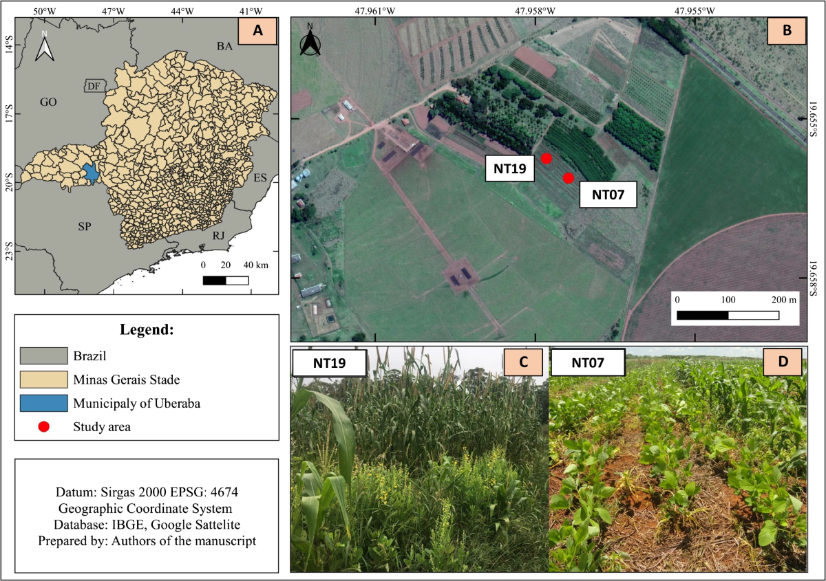 Temporal Evaluation of Soil Attributes in No-Tillage Areas After Burning in the Cerrado Biome, Brazil | Journal of Soil Science and Plant Nutrition temporal-evaluation-of-soil-attributes-in-no-tillage-areas-after-burning-in-the-cerrado-biome-brazil-journal-of-soil-science-and-plant-nutrition