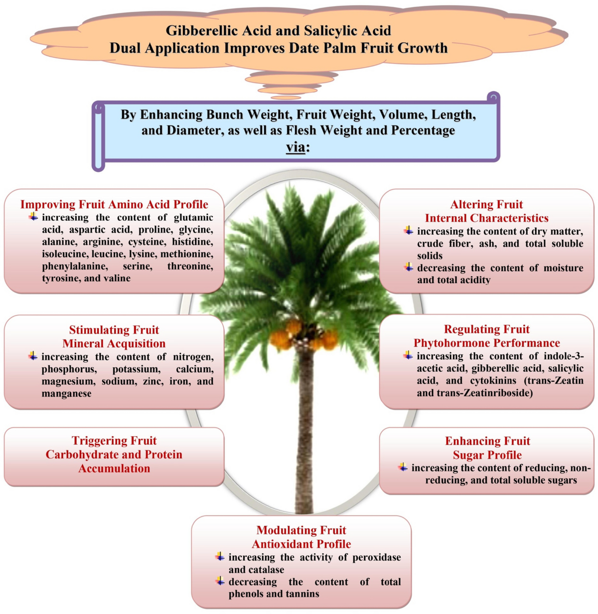 Gibberellic Acid and Salicylic Acid Dual Application Improves Date 