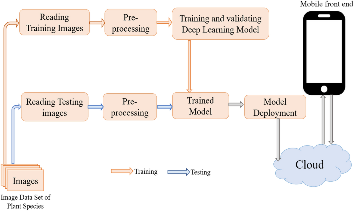Medicinal Plant Identification in Real-Time Using Deep Learning Model | SN  Computer Science | Springer Nature Link
