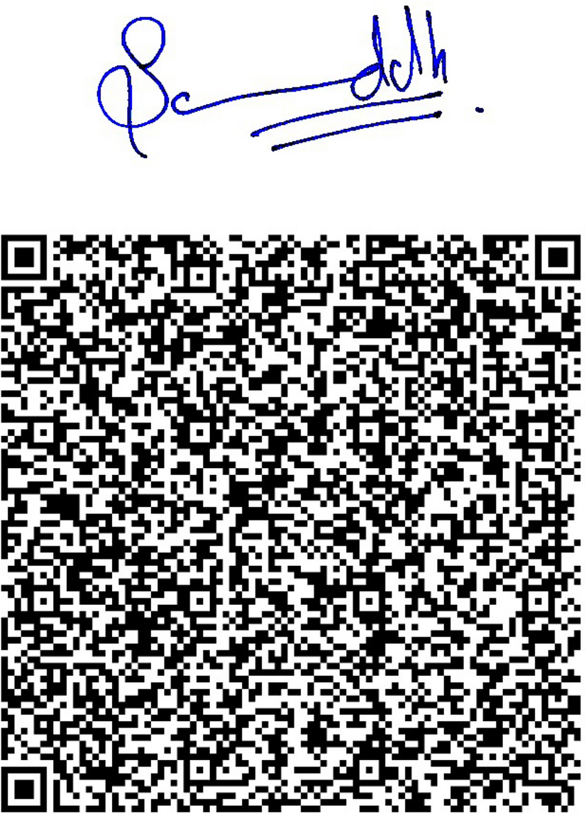 Optimizing QR Code Security: Best Practices and Anti-tampering Strategies |  SN Computer Science | Springer Nature Link