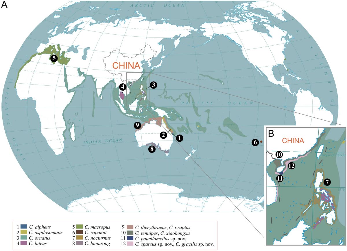 TRADITION AND INNOVATION IN AEGEAN IRON TECHNOLOGIES: A VIEW FROM EARLY  IRON AGE IONIA | Annual of the British School at Athens | Cambridge Core, image size:1200x870