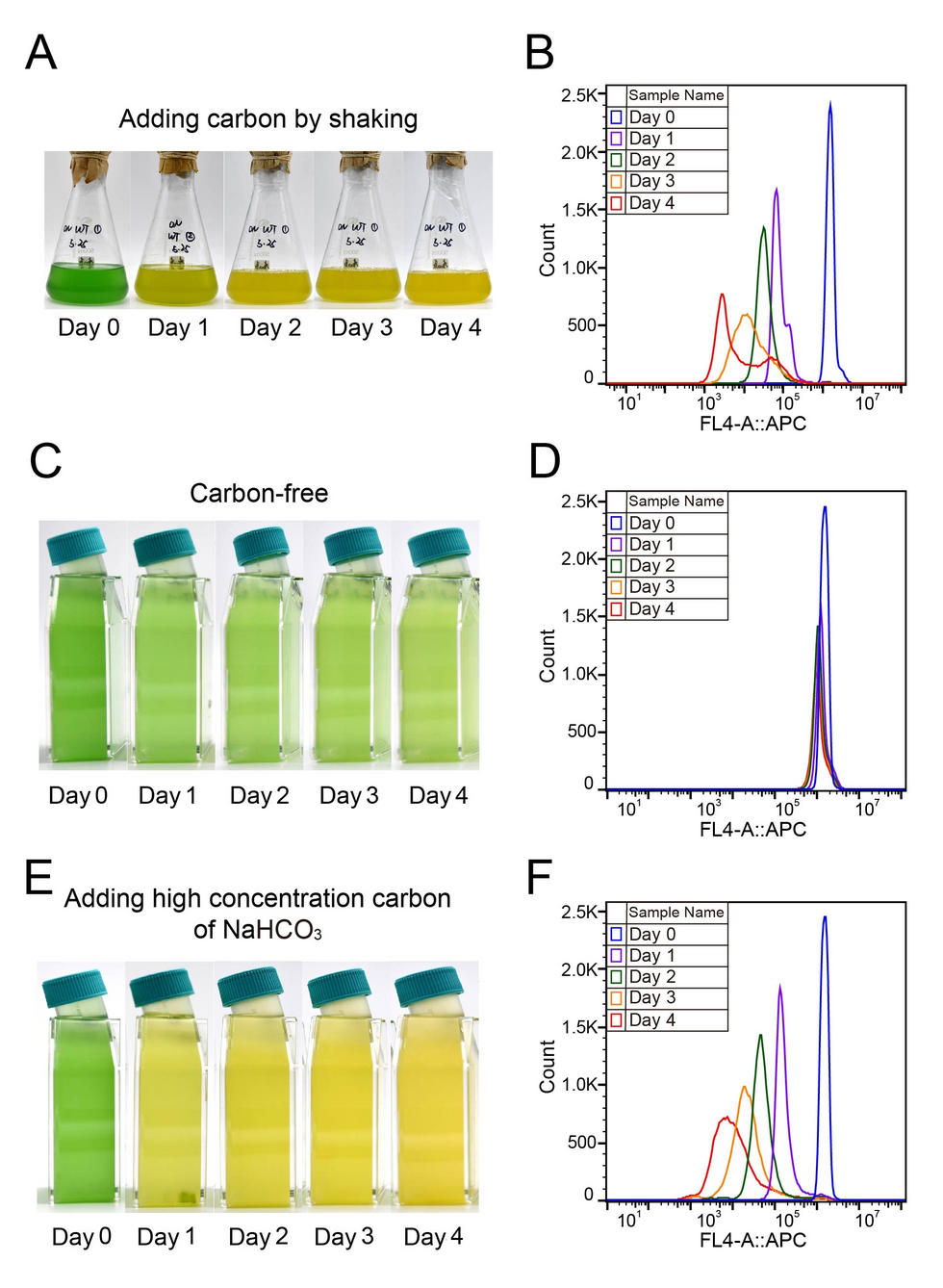 Physiological and molecular evidence for phycobilisome degradation in  maintaining carbon and nitrogen balance of cyanobacteria | Marine Life  Science & Technology | Springer Nature Link