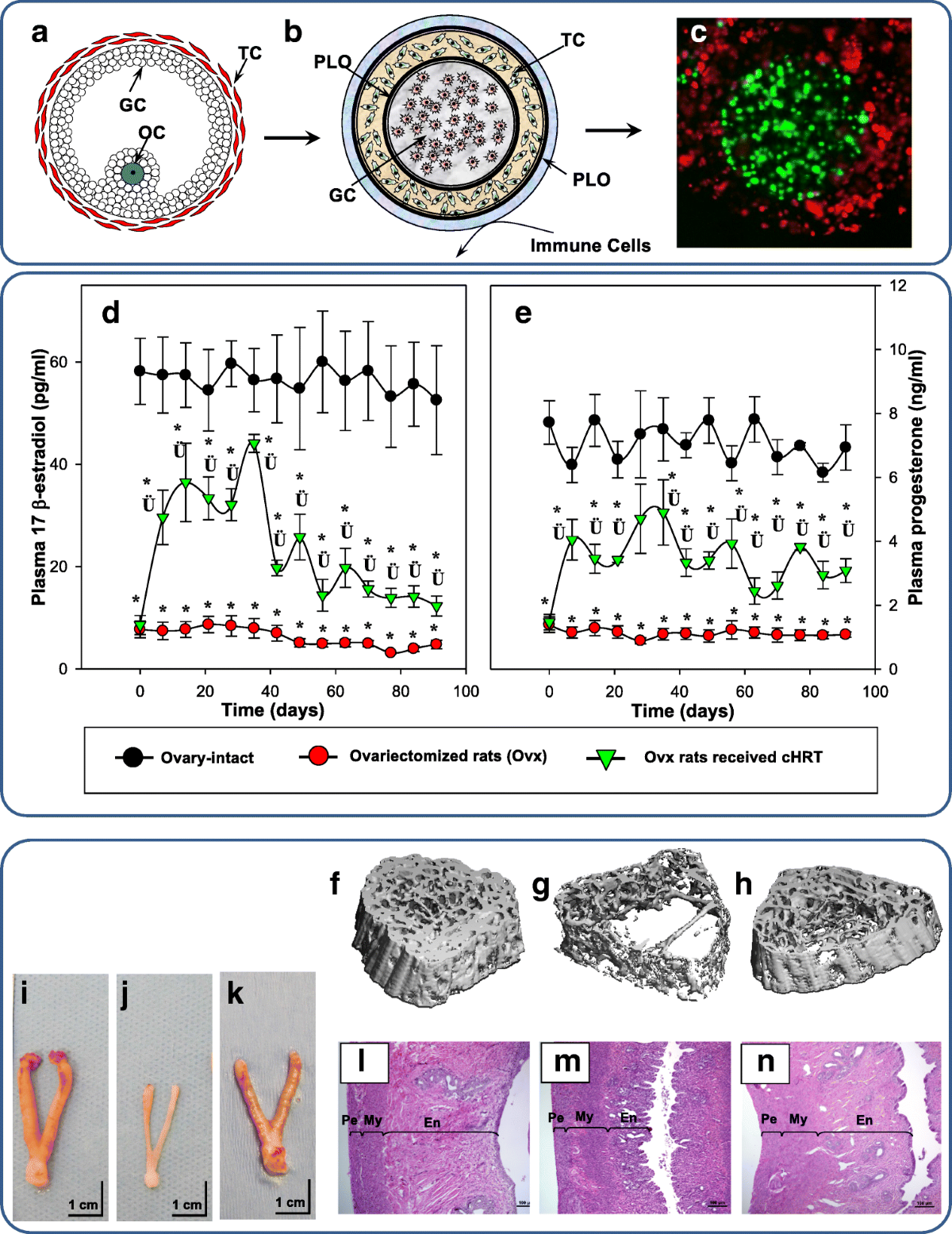 Regenerative Medicine Approaches in Bioengineering Female Reproductive  Tissues | Reproductive Sciences