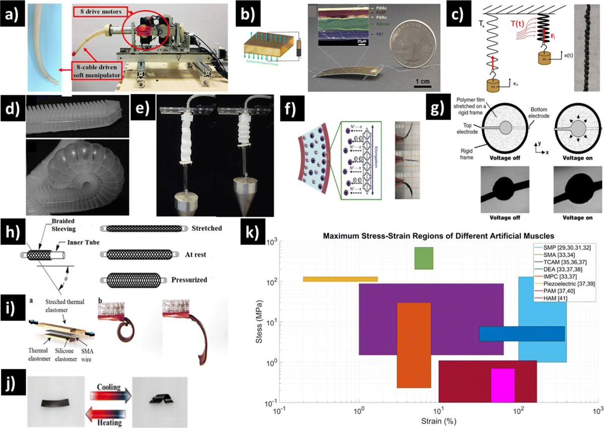 Bioinspired Soft Robotics: State of the Art, Challenges, and Future  Directions