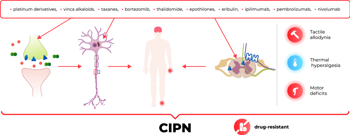 chemotherapy induced peripheral neuropathy diagram