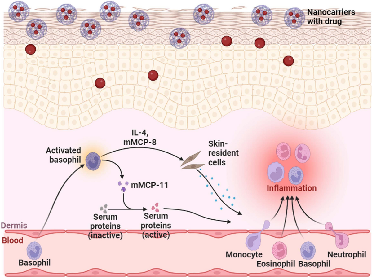 Challenges of current treatment and exploring the future prospects of  nanoformulations for treatment of atopic dermatitis | Pharmacological  Reports | Springer Nature Link