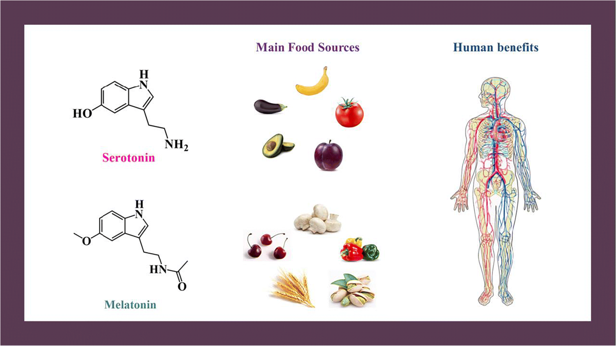 does glutathione increase serotonin Serotonin and Melatonin: Plant Sources, Analytical Methods, and Human  Health Benefits | Revista Brasileira de Farmacognosia