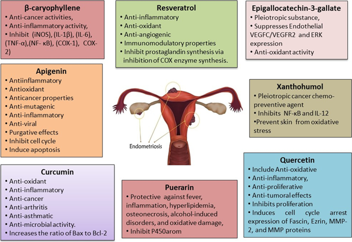 glutathione benefits for endometriosis Intervention of Phytochemicals During Endometriosis and Their Conceivable  Mechanisms | Revista Brasileira de Farmacognosia