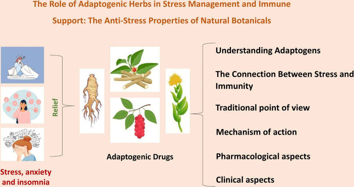 The Role of Adaptogenic Herbs in Stress Management and Immune Support: The  Anti-stress Properties of Natural Botanicals | Revista Brasileira de  Farmacognosia | Springer Nature Link