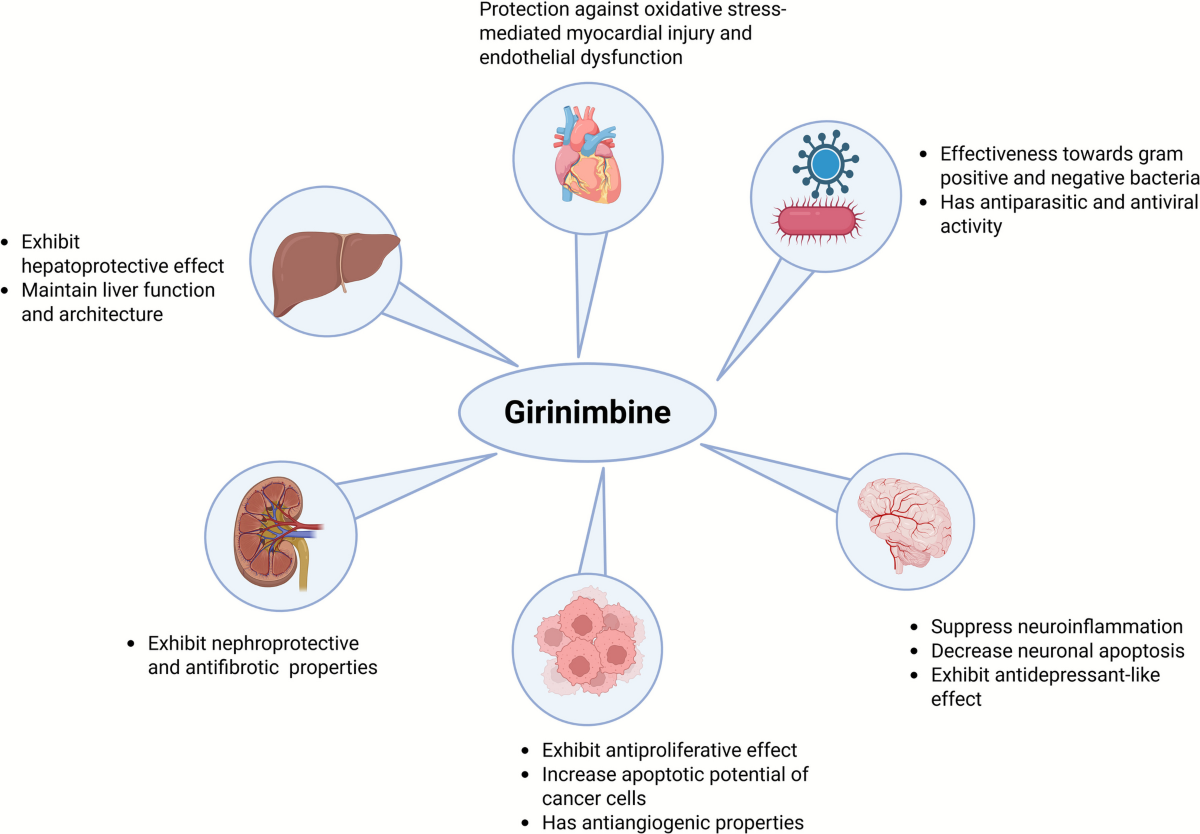 vars liposomal glutathione side effects Frontiers A comprehensive investigation of the