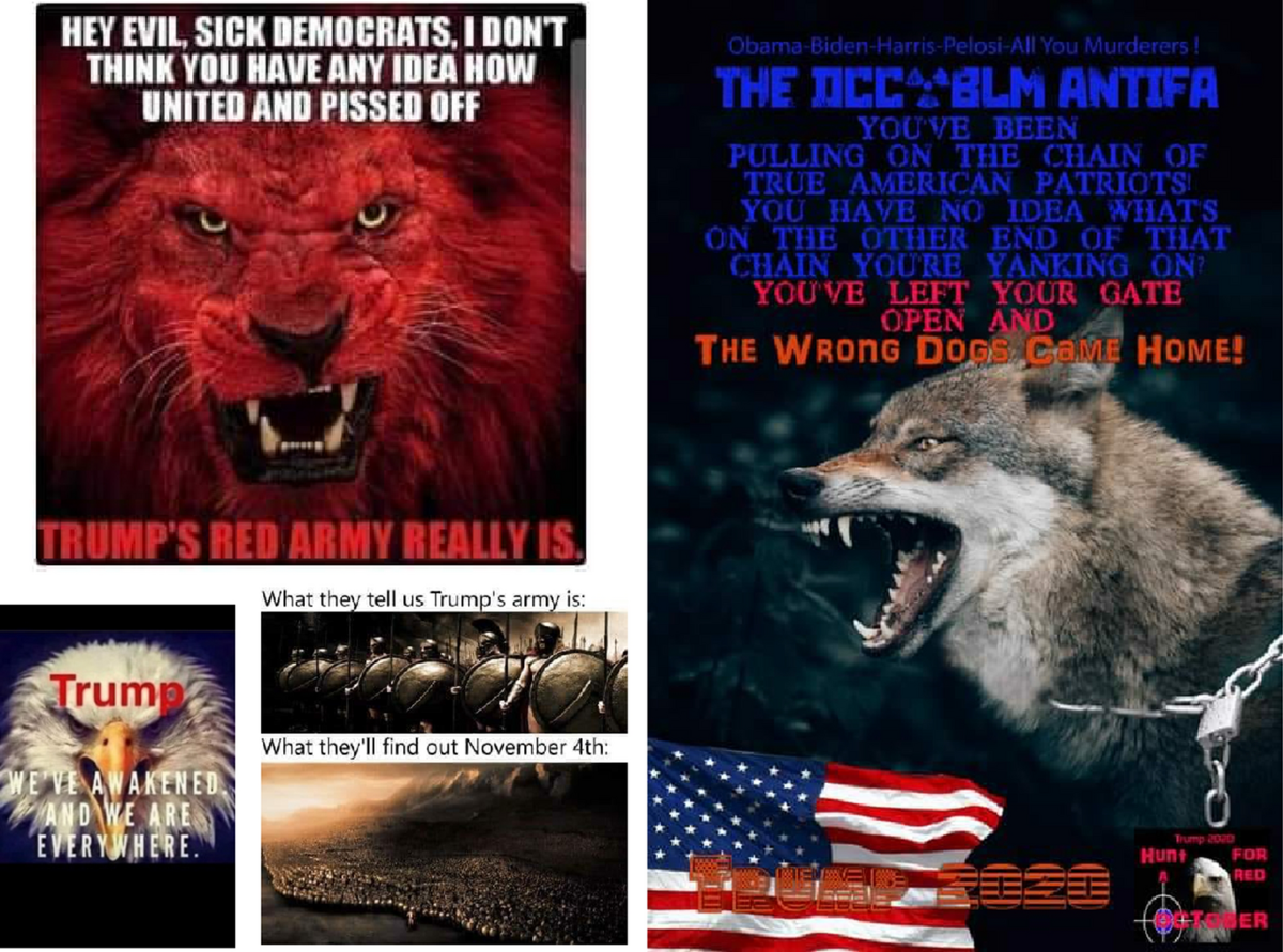 Dehumanisation of Outgroups on Facebook and Twitter: towards a framework  for assessing online hate organisations and actors | SN Social Sciences