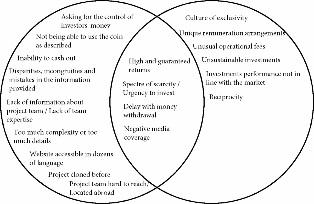 The devil is in the details: a taxonomy of red flags of fraudulent initial  coin offering projects | SN Business & Economics