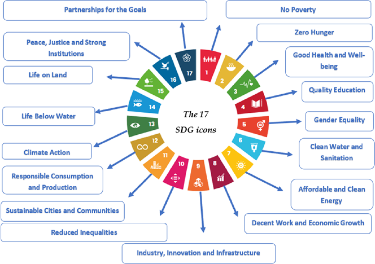 The role of universities in implementing the sustainable development goals  (SDGs) a case study of Hassan first university 2018–2023 | Discover  Sustainability | Springer Nature Link