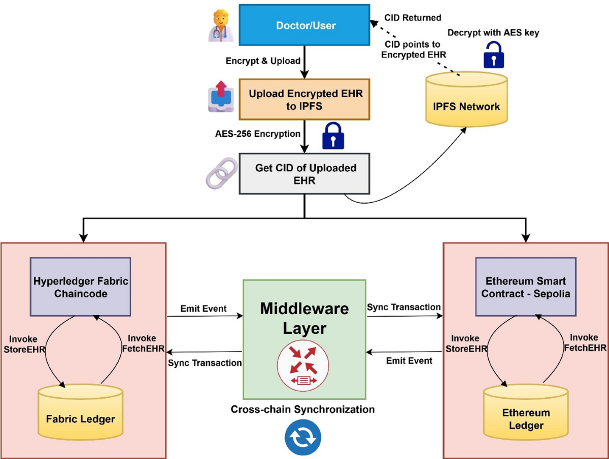 Interoperable blockchain network for healthcare data using Fabric, Ethereum  and IPFS | Discover Artificial Intelligence