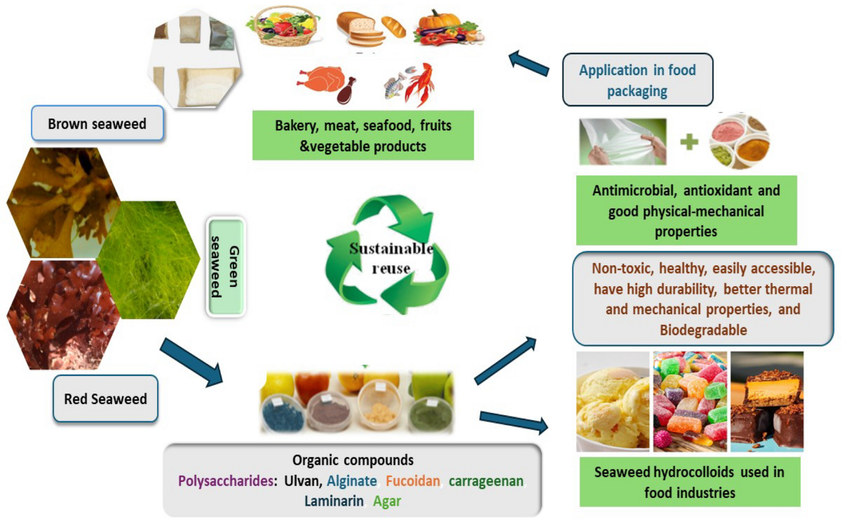 Seaweed organic compounds source of hydrocolloids and sustainable 