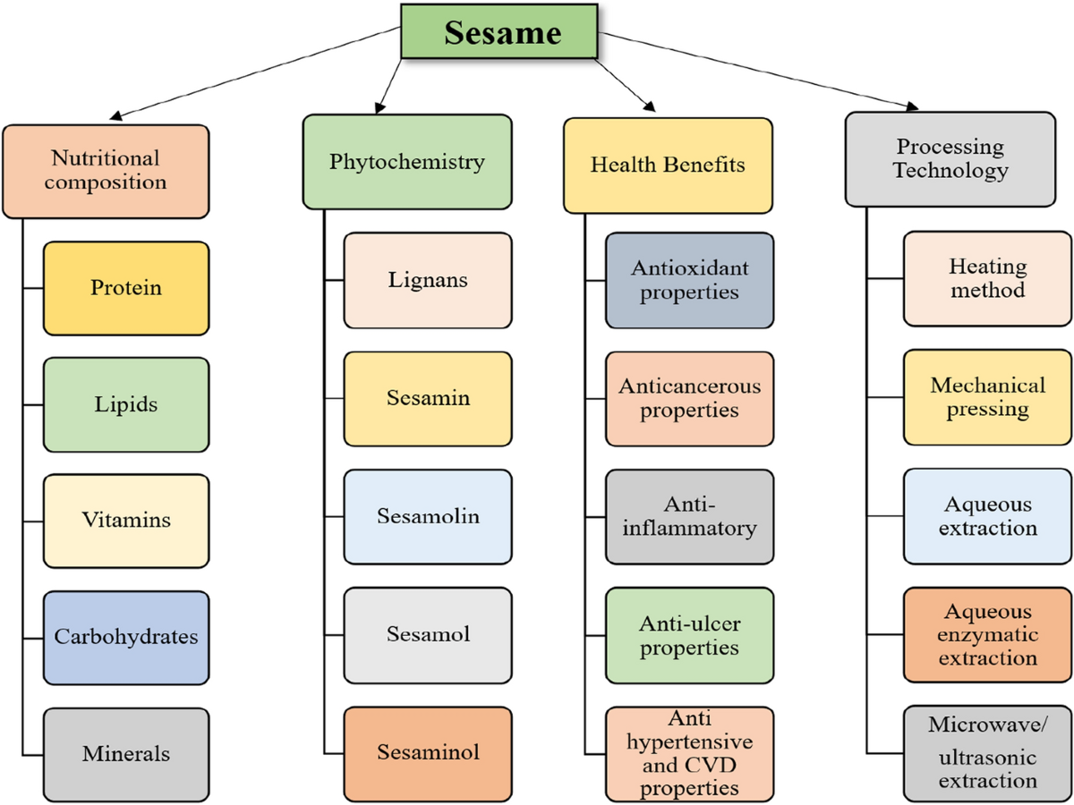 l carnitine vs alcar Amazon.com: Acetyl L-Carnitine 1,000mg Per Serving, 150 Capsules (ALCAR for  Brain Function Support, Memory, Attention, and Stamina) Acetyl L Carnitine  that is Third Party Tested by Double Wood : Everything Else