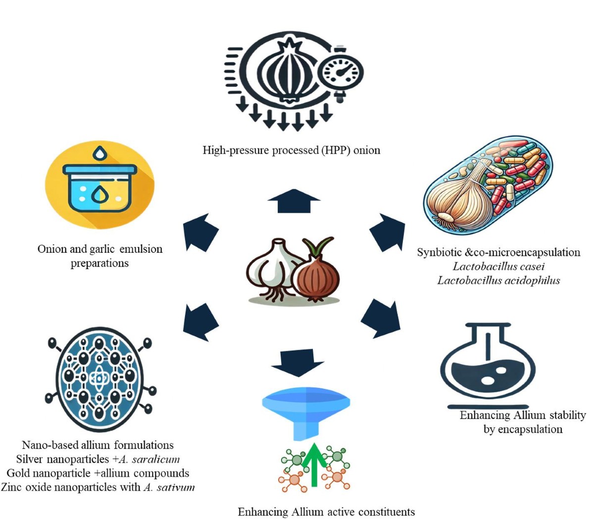 Advanced formulations and gut microbiota modulation shape the prebiotic and  metabolic health effects of allium phytochemicals | Discover Food |  Springer Nature Link