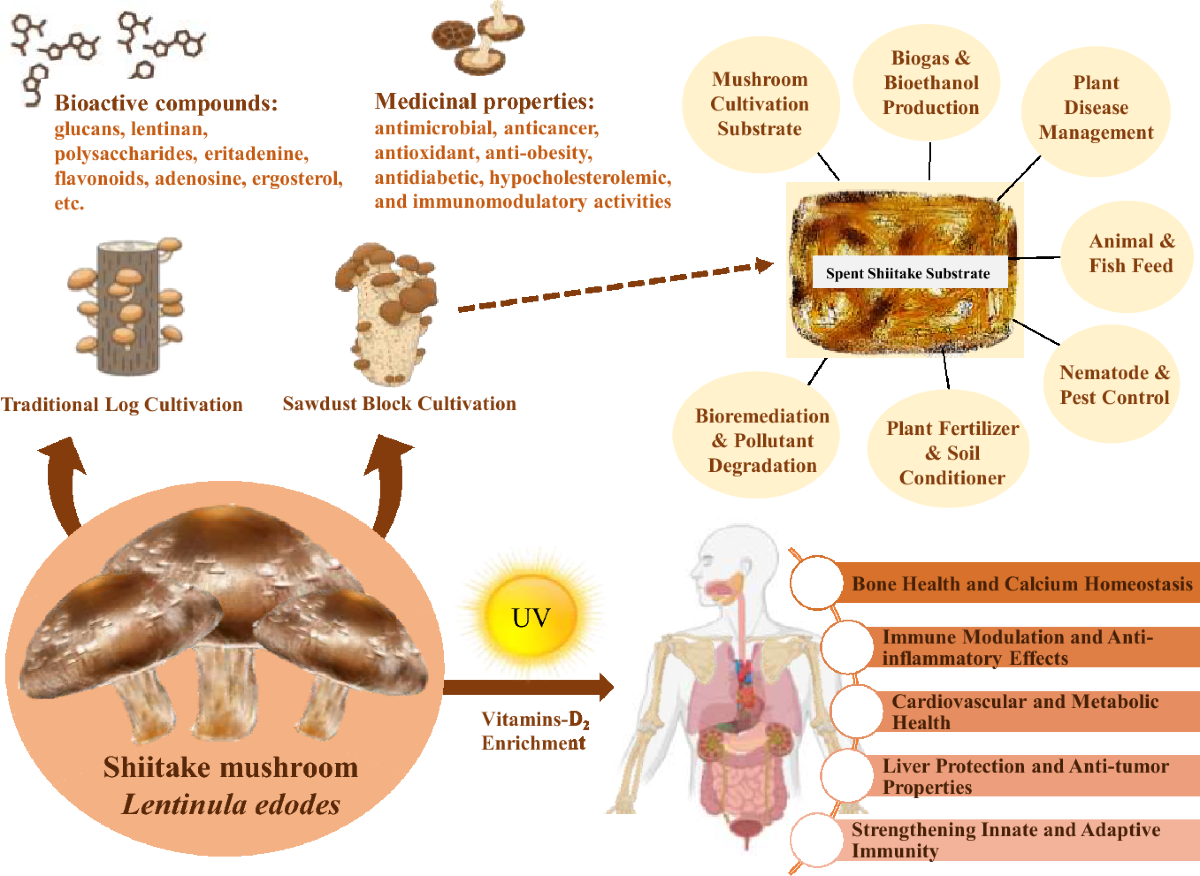 will glutathione make you poop 15 Benefits: How to Improve Your Mind & Body What Happens When You Stop