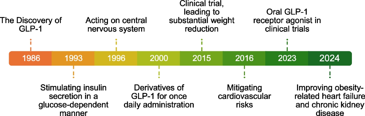 The transformative breakthroughs in GLP-1 research recognized by the 2024  Lasker~DeBakey award | Current Medicine