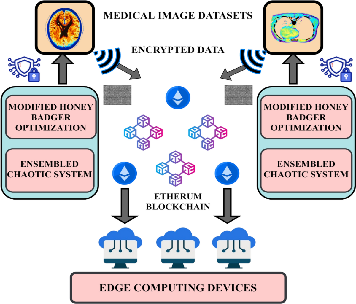 Blockchain-Driven Optimized Chaotic Encryption Scheme for Medical Image  Transmission in IoT-Edge Environment | International Journal of  Computational Intelligence Systems | Springer Nature Link