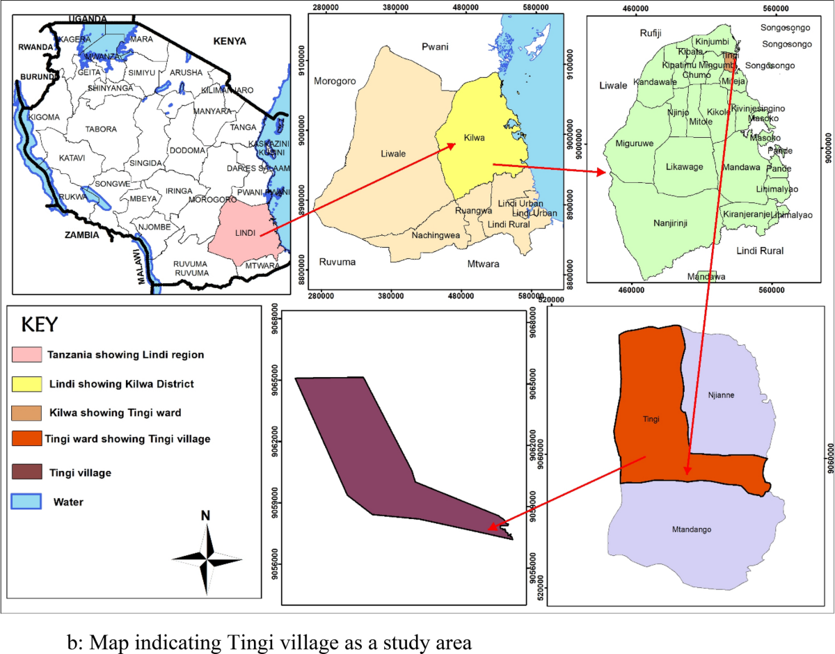 Effects of planting window on grain yield and oil yield under rainfed  sunflower (Helianthus annuus L.) in Kilwa District, Lindi, Tanzania |  Discover Agriculture
