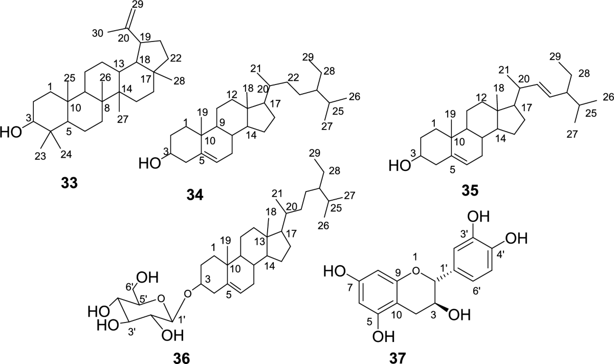 In vitro antibacterial activities, DPPH radical scavenging, and molecular  simulation of isolated compounds from the stem bark of Grewia ferruginea |  Discover Chemistry