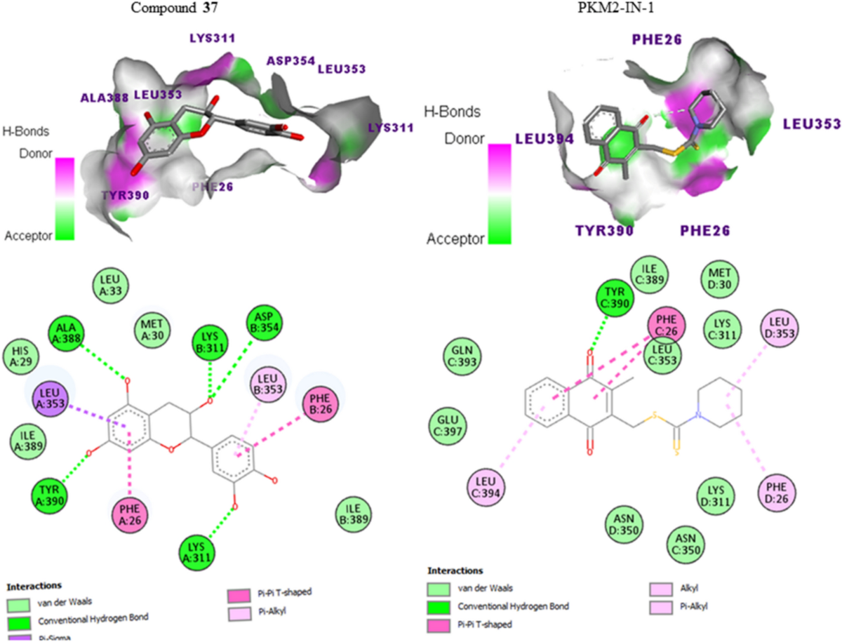 In vitro antibacterial activities, DPPH radical scavenging, and molecular  simulation of isolated compounds from the stem bark of Grewia ferruginea |  Discover Chemistry