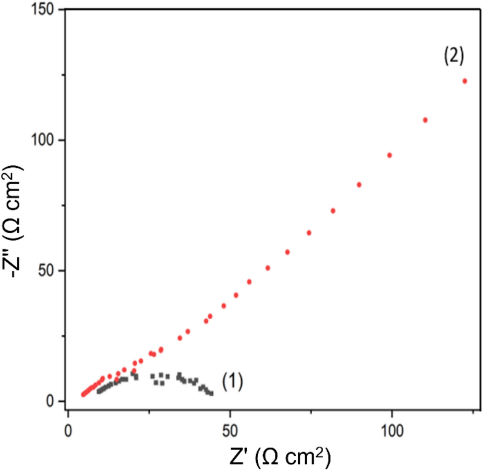 Interference of solution constituents on corrosion inhibition of phosphate  species on Grade 202 stainless steel | Discover Chemistry