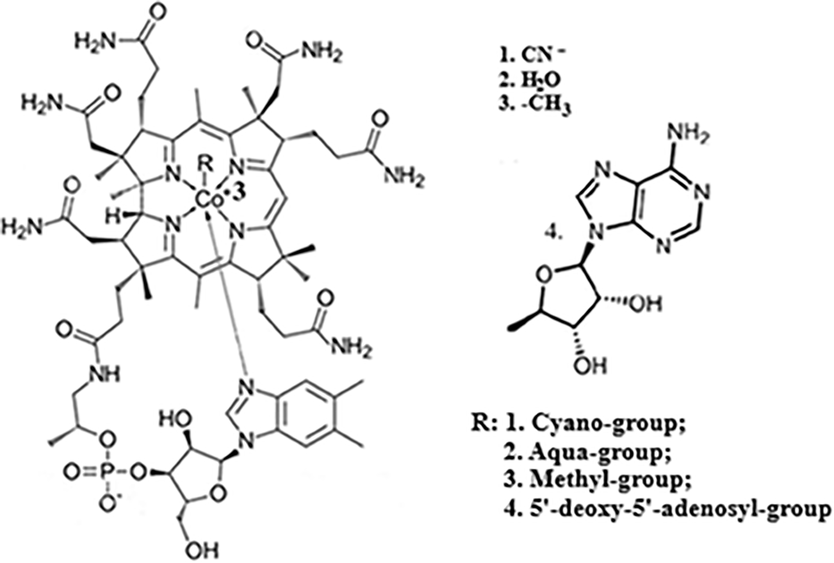 Theoretical study of the vitamin B12 forms' interactions with glutathione, NADPH, FMN, and FAD: CASSCF approach | Discover Chemistry