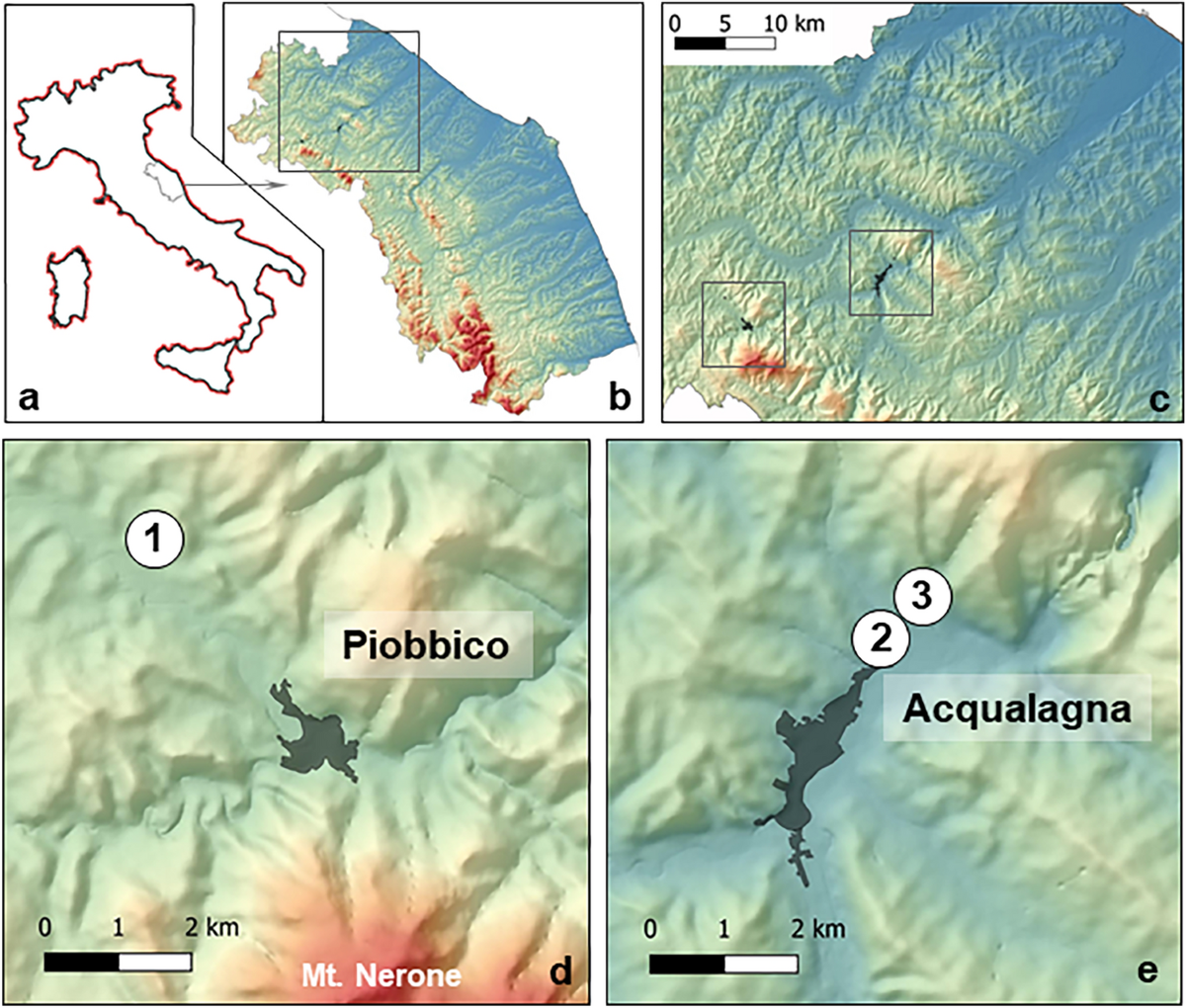 Physical and chemical properties of soils from different geological  formations affecting Tuber melanosporum plantations: a case study in  Acqualagna area (central Italy) | Discover Soil, image size:1200x1020