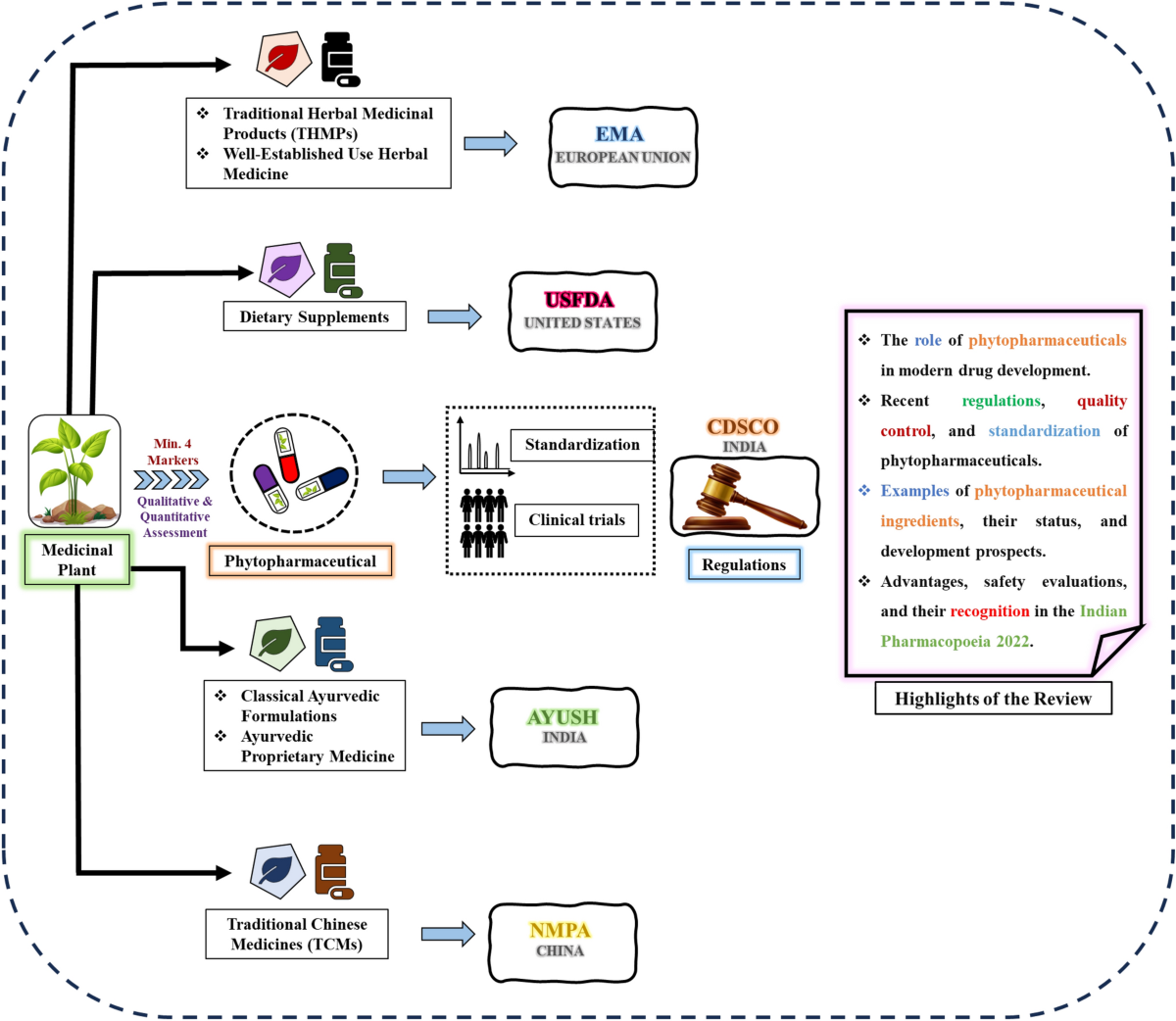 Regulations, current development, and future prospects of  phytopharmaceuticals, a new class of herbal medicines in India | Discover  Pharmaceutical Sciences | Springer Nature Link