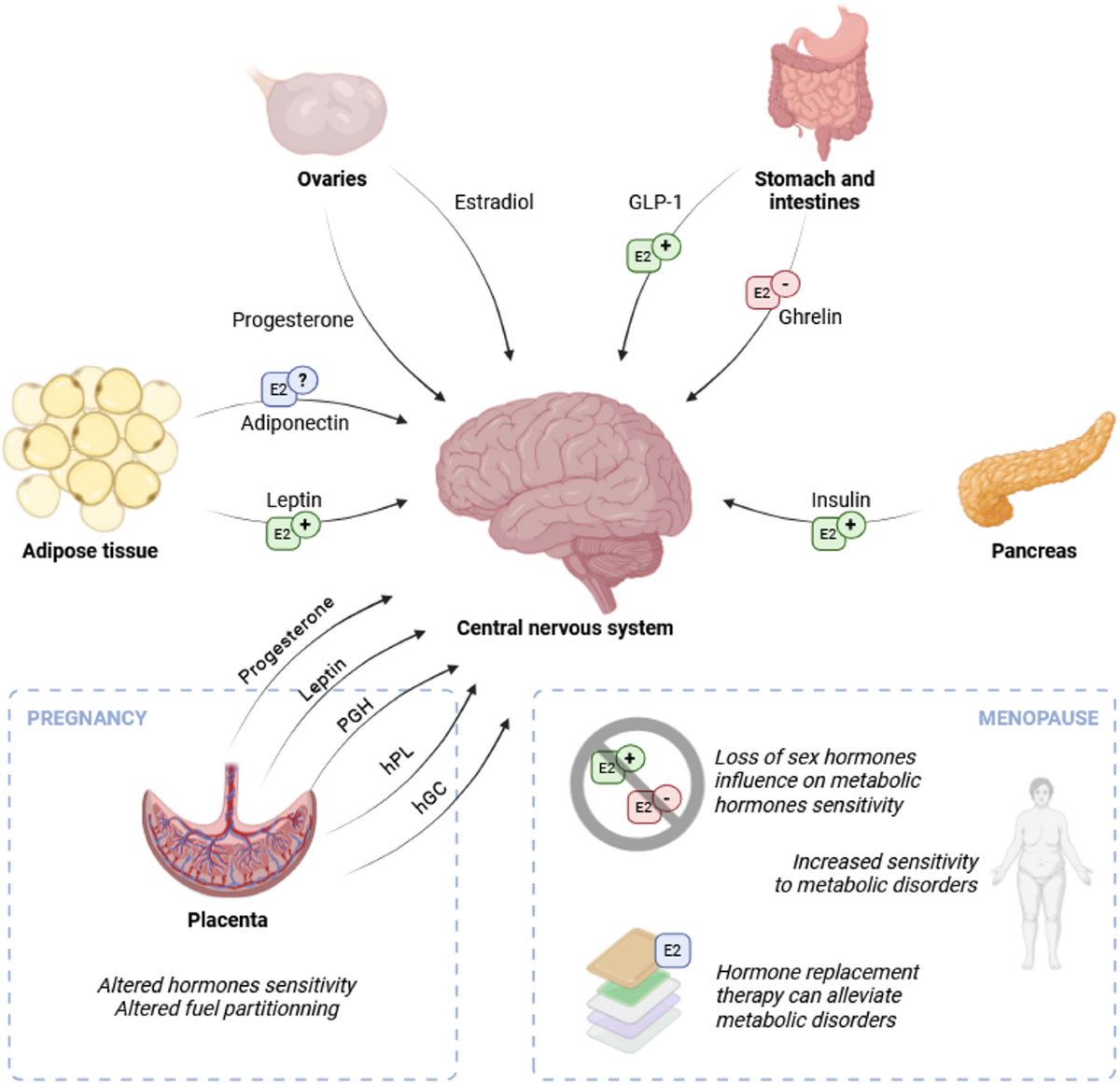 does injecting glp 1 hurt GLP-1 microdosing is popular, but there's little evidence it works