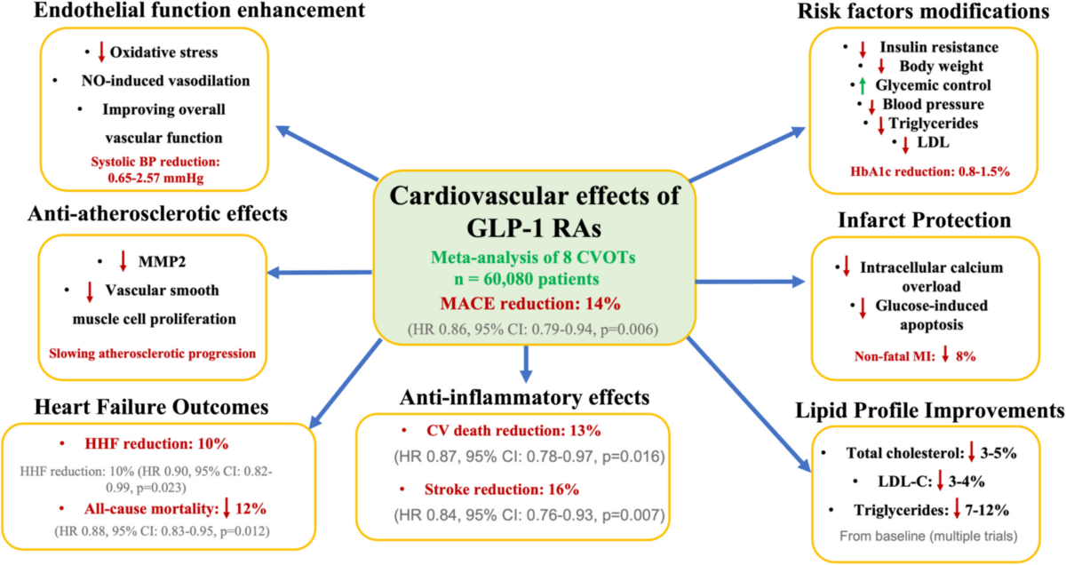 GLP-1 receptor agonism: a transformative approach for managing type-2 diabetes and obesity | Saudi Pharmaceutical Journal | Springer Nature Link GLP-1 receptor agonism: a transformative approach for managing type-2 diabetes and obesity | Saudi Pharmaceutical Journal | Springer Nature Link