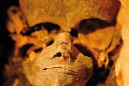 Ancient DNA: Curse of the Pharaoh's DNA | Nature