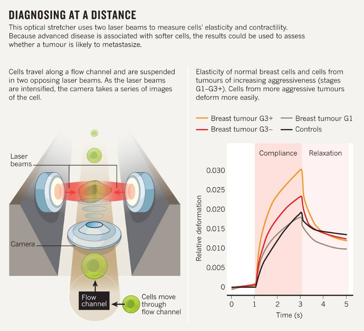Mechanics: The forces of cancer | Nature