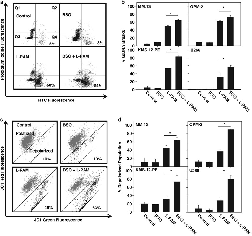 cjc-1295 ipamorelin increases igf-1 cjc-1295 ipamorelin igf-1 increase percentage studies Peptides for Muscle  Growth: Expert Guide & Clinical