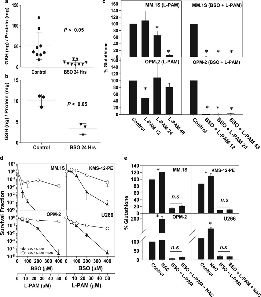 bso glutathione inhibitor The glutathione synthesis inhibitor buthionine sulfoximine synergistically  enhanced melphalan activity against preclinical models of multiple myeloma