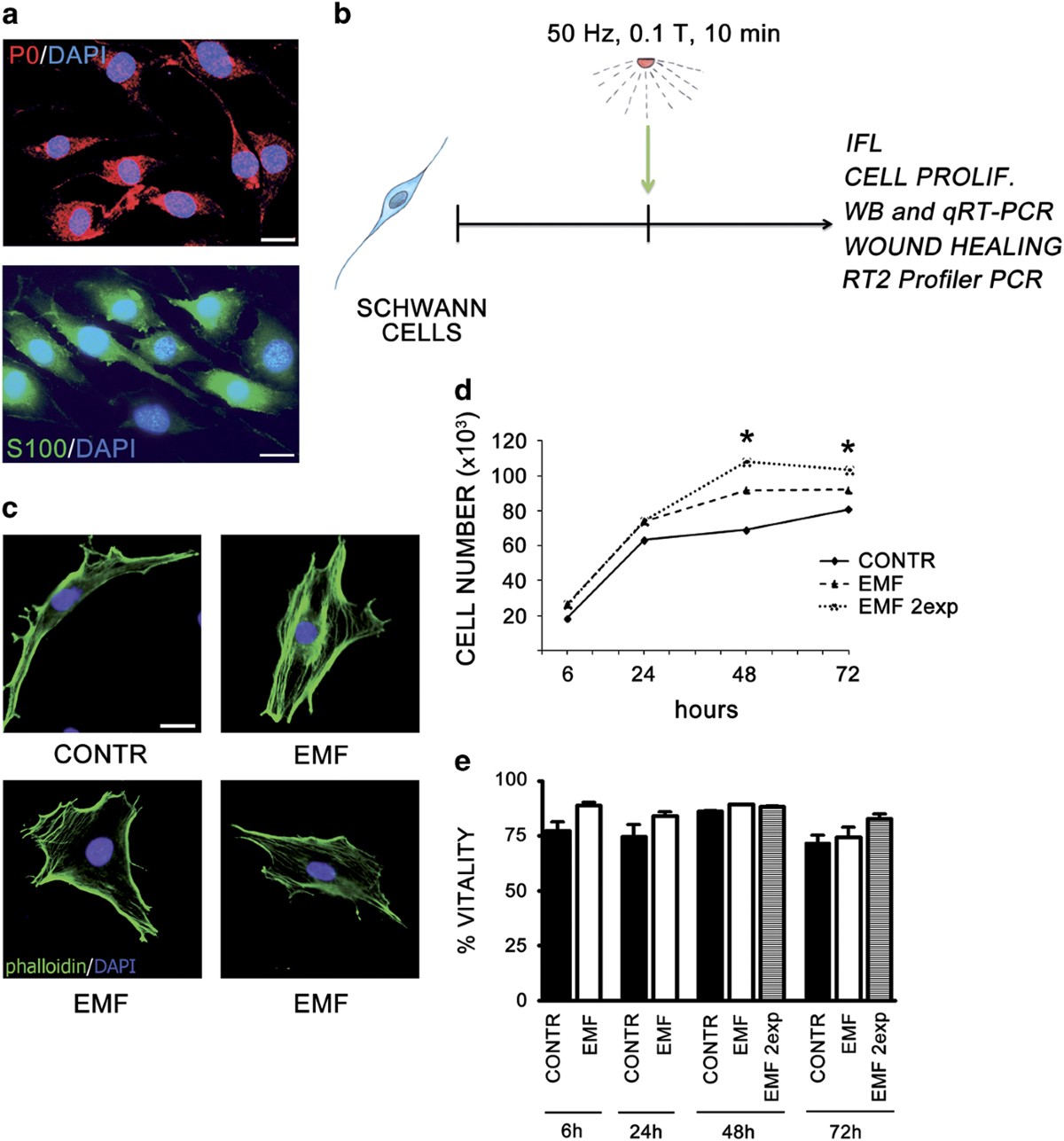 Used Alfa Romeo Giulia for Sale near Fort Smith, AR - CarGurus, image size:1200x1287