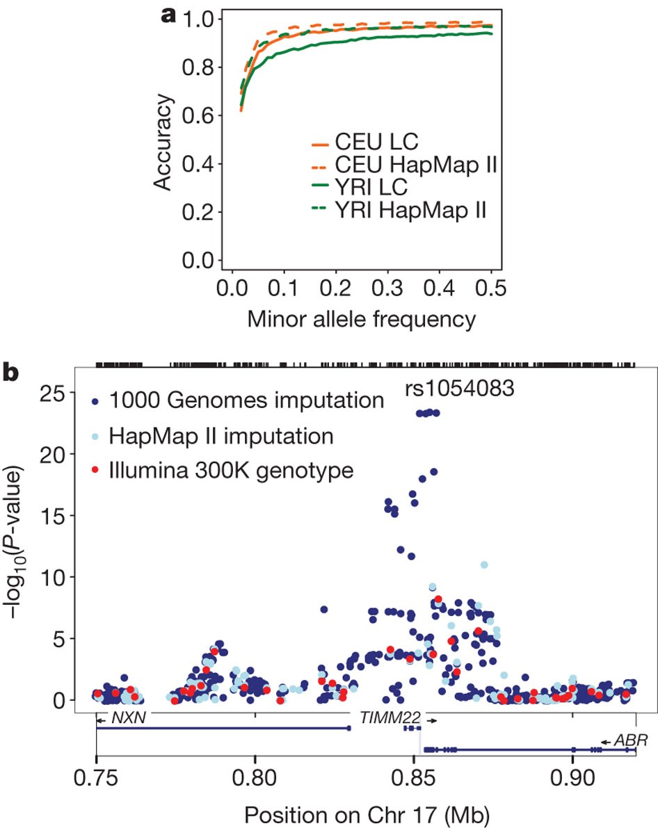 Las ascendencias europeas sesgan los mapas genéticos y ocultan miles de  transcritos humanos | EcuadorUniversitario.Com, image size:946x1191