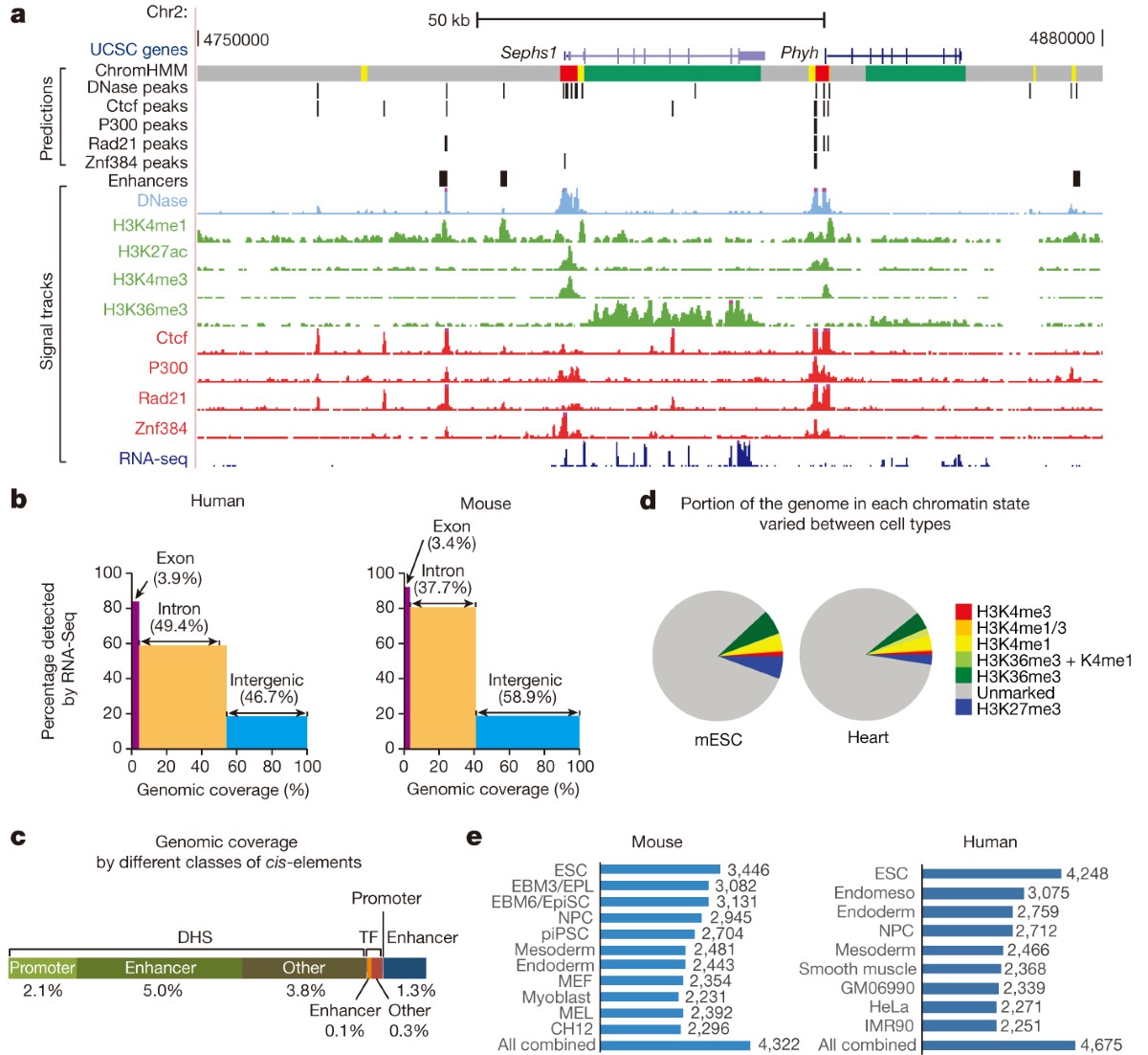 A comparative encyclopedia of DNA elements in the mouse genome 