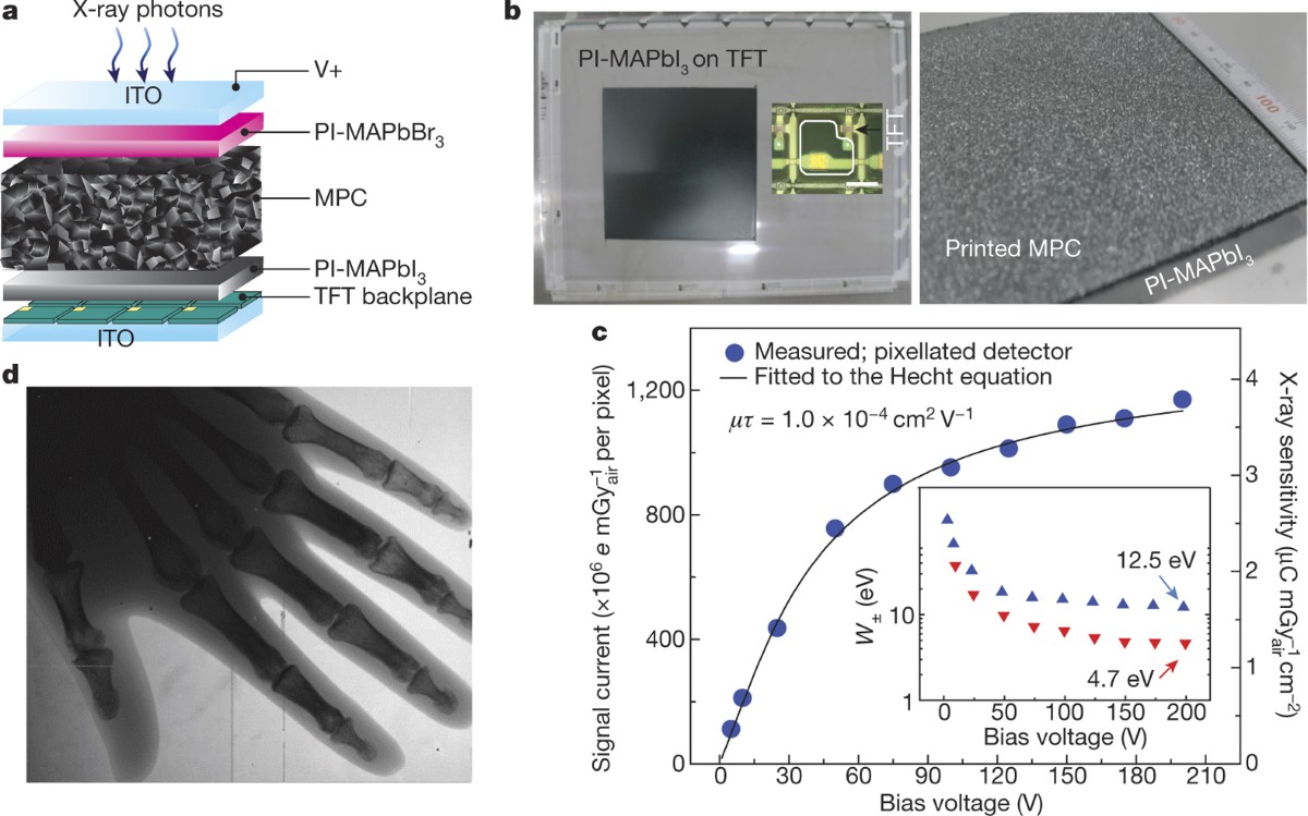 Printable organometallic perovskite enables large-area, low-dose X-ray  imaging | Nature