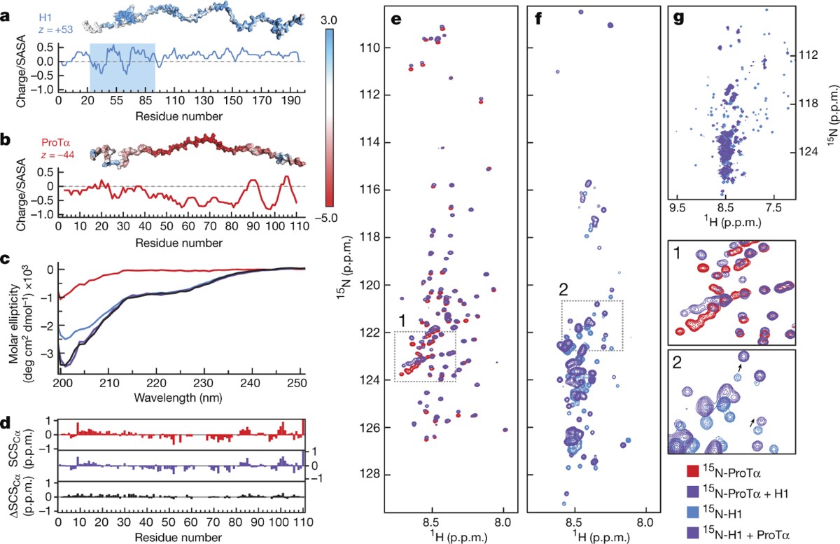 extreme-disorder-in-an-ultrahigh-affinity-protein-complex-nature