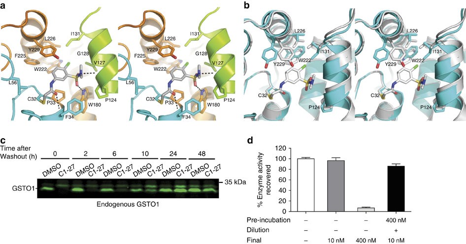 Mechanistic evaluation and transcriptional signature of a glutathione S-transferase  omega 1 inhibitor