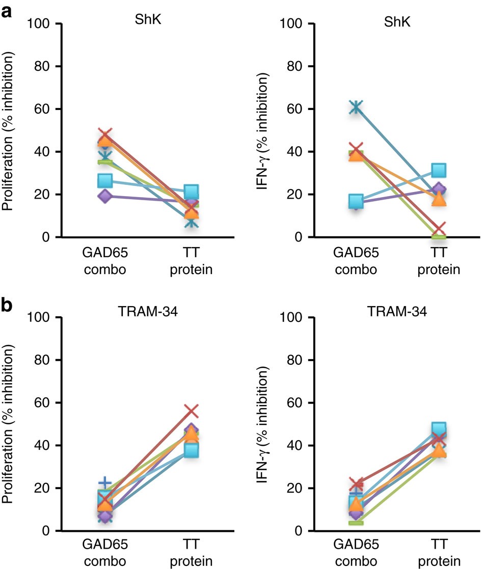 Potassium channels Kv1.3 and KCa3.1 cooperatively and compensatorily  regulate antigen-specific memory T cell functions | Nature Communications