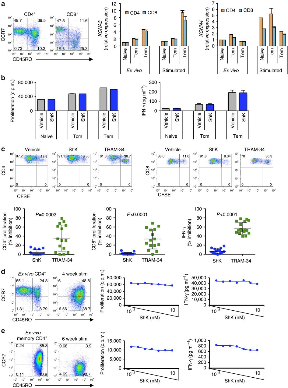 Potassium channels Kv1.3 and KCa3.1 cooperatively and compensatorily  regulate antigen-specific memory T cell functions | Nature Communications