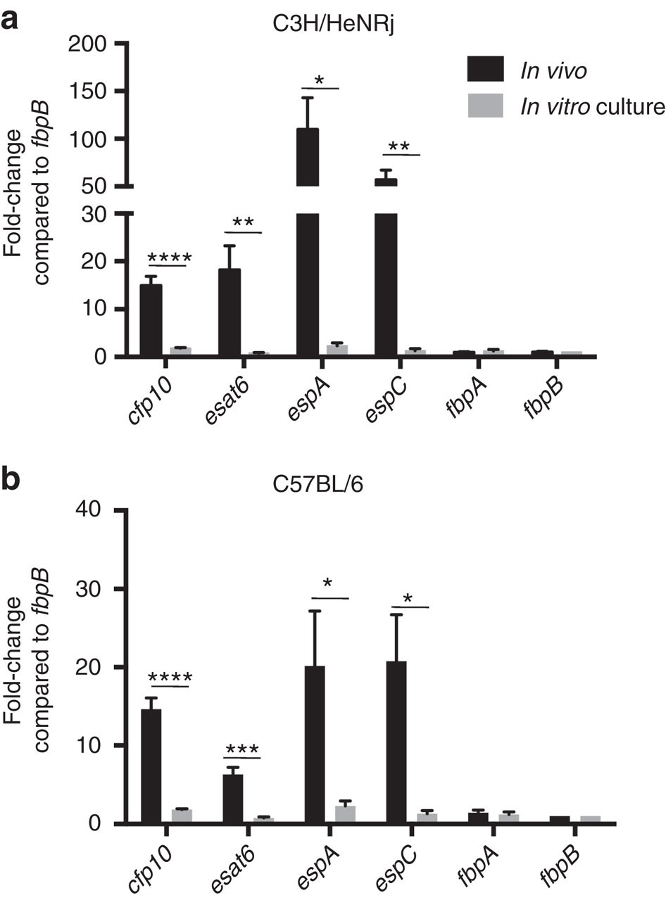 Reactogenicity to major tuberculosis antigens absent in BCG is linked to  improved protection against Mycobacterium tuberculosis | Nature  Communications